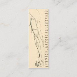 腕のヴィンテージの解剖学|の静脈(1852年頃) スキニー名刺