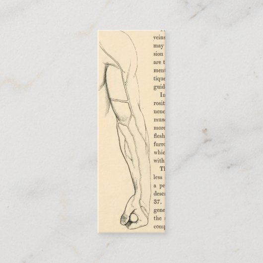 腕のヴィンテージの解剖学|の静脈(1852年頃) スキニー名刺 (正面)