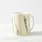 腕のヴィンテージの解剖学|筋肉そして骨 コーヒーマグカップ (正面右)
