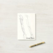 腕のヴィンテージの解剖学|筋肉そして骨 ポストイット (デスク上)