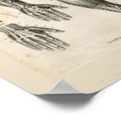 腕の筋肉ヴィンテージ構造プリント ポスター (角)