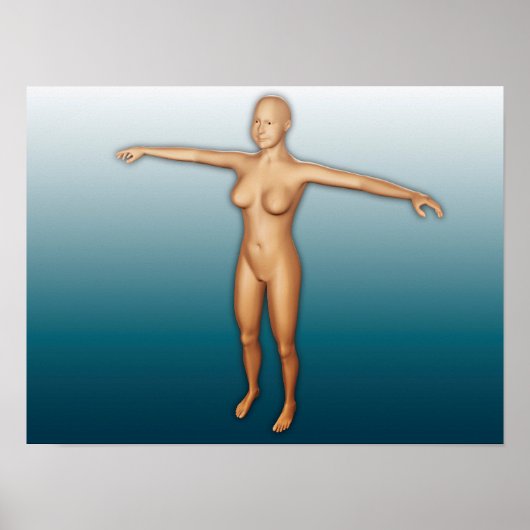 腕を伸ばした女性体 ポスター (正面)