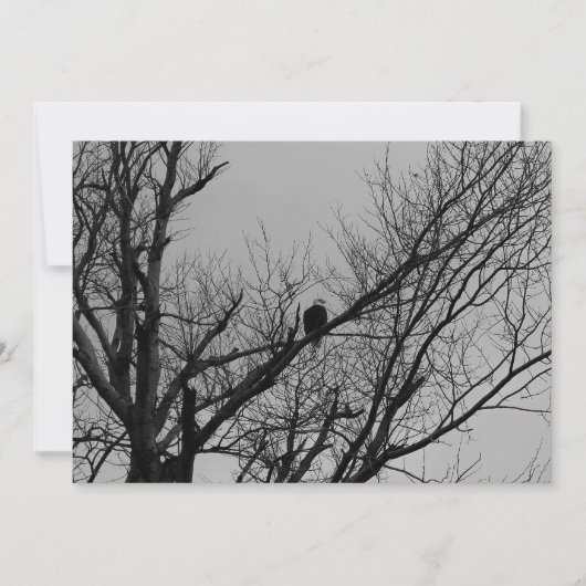 腕時計を取っている男性 招待状 (正面)