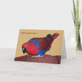 腕時計TV カード (正面)