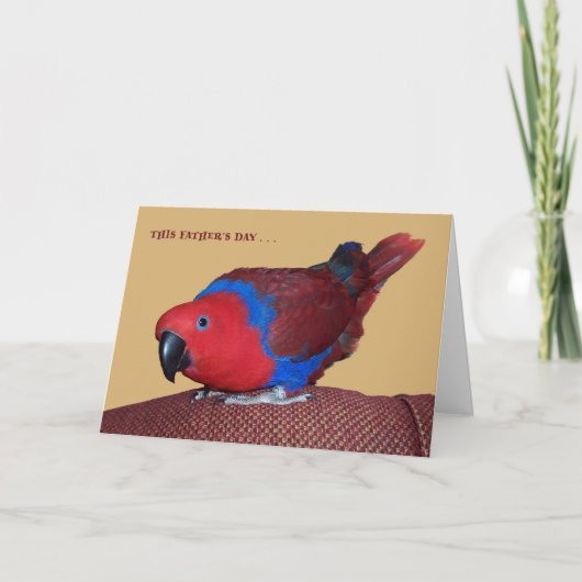 腕時計TV カード (正面)