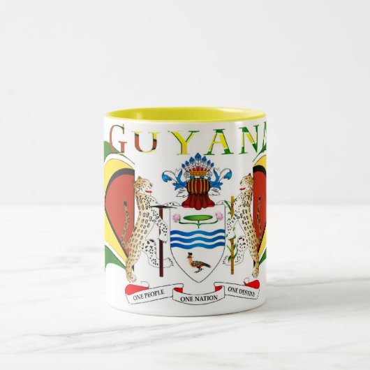 腕558のGuyana_Coat ツートーンマグカップ (中央)