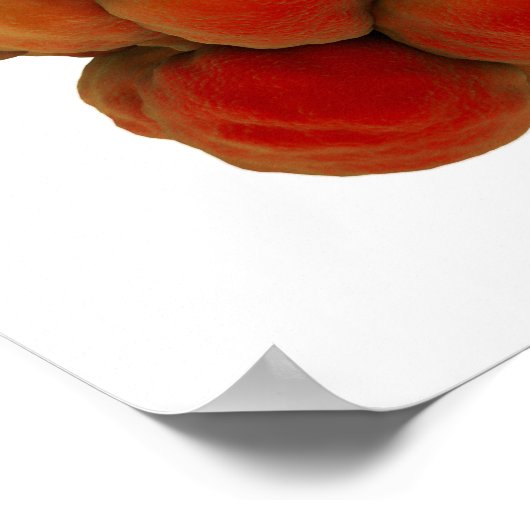 腫瘍の顕微鏡的見解4 ポスター (角)