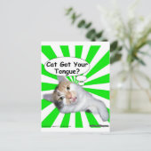 腰回りが大きな子猫猫はあなたの舌を得ましたか。 ポストカード (スタンド正面)