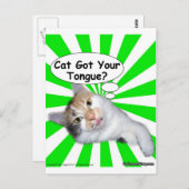 腰回りが大きな子猫猫はあなたの舌を得ましたか。 ポストカード (正面/裏面)