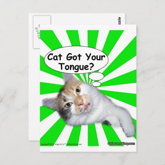 腰回りが大きな子猫猫はあなたの舌を得ましたか。 ポストカード (正面/裏面)