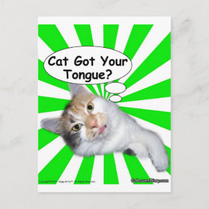 腰回りが大きな子猫猫はあなたの舌を得ましたか。 ポストカード