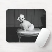 腰掛けB&Wに坐っている白いプードル マウスパッド (マウス)