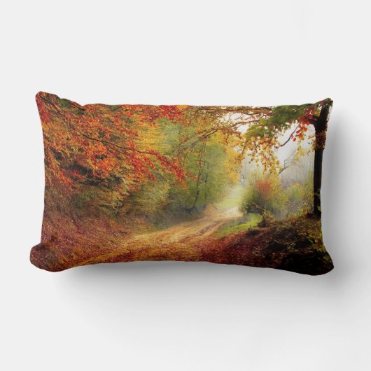 腰枕13インチx 21インチ ランバークッション (正面)