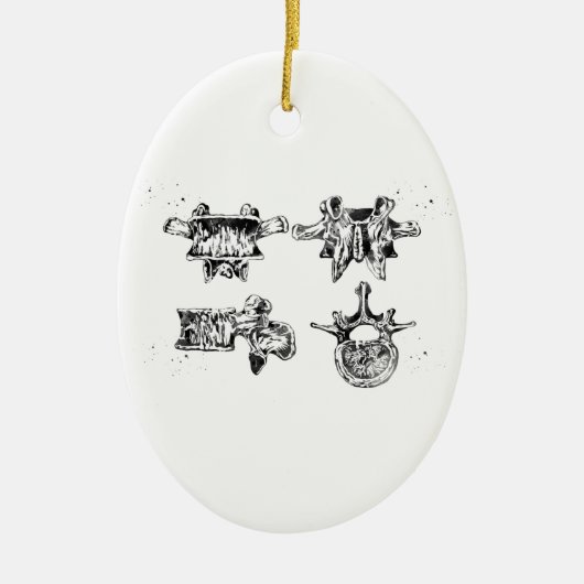 腰椎構造 セラミックオーナメント (正面)