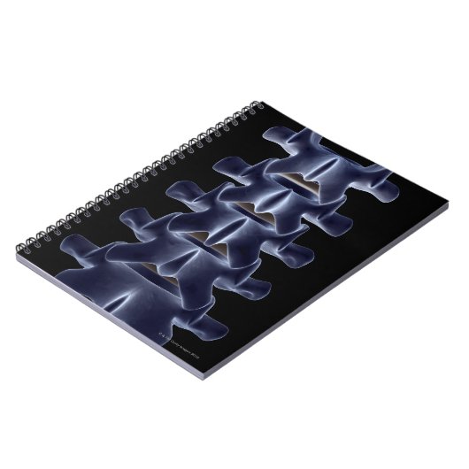 腰椎2 ノートブック (左側)