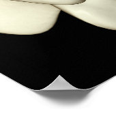 腰椎4 ポスター (角)