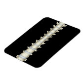 腰椎、胸椎 マグネット (左側)