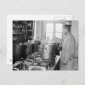 腸チフス病： 1917年 ポストカード (正面/裏面)