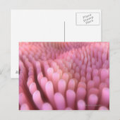 腸絨毛2 ポストカード (正面/裏面)