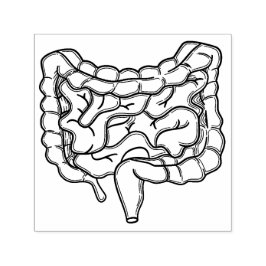 腸 セルフインキングスタンプ