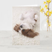 腹を出す騎士 カード (黄色い花)