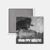 腹を擦れ！ マグネット (正面/裏面)