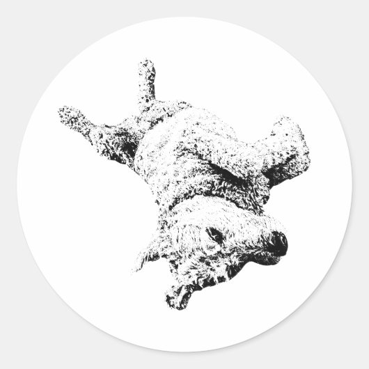 腹を立てる態度 ラウンドシール (正面)