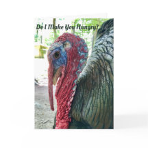 腹ペコのトルコ