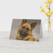 腹摩擦ジャーマン・シェパードのバースデー・カード カード (黄色い花)