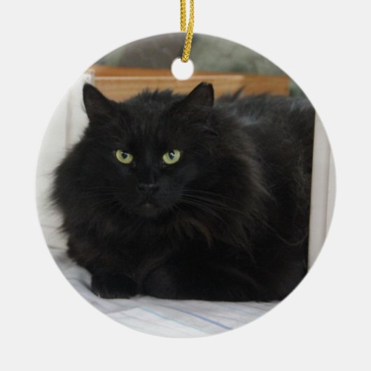 腹菌類 セラミックオーナメント (正面)