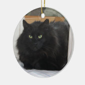 腹菌類 セラミックオーナメント (左)