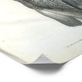 腹部内部解剖学プリント ポスター (角)