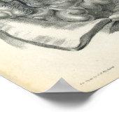 腹部臓器の静脈の解剖学プリント ポスター (角)