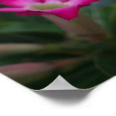 腺結節 ポスター (角)