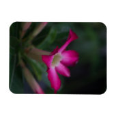 腺結節 マグネット (横)