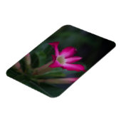 腺結節 マグネット (左側)