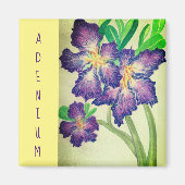 腺膜 マグネット (正面)