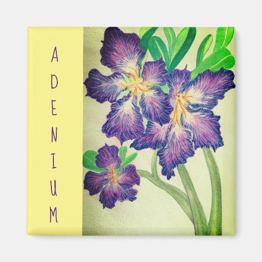 腺膜 マグネット (正面)