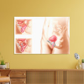 膀胱懸濁法の解剖学 キャンバスプリント (インサイチュ (リビング))