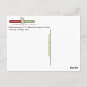 膀胱骨格像 ポストカード (裏面)