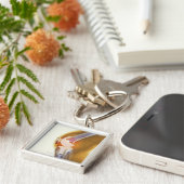 膝の取り替え。 総膝の着色されたX線 キーホルダー (側面)