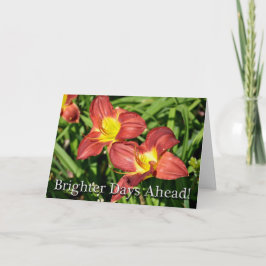 膝の手術フローラが良くなる カード