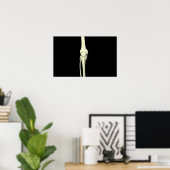 膝の骨のイラストレーション、ストレート ポスター (ホームオフィス)