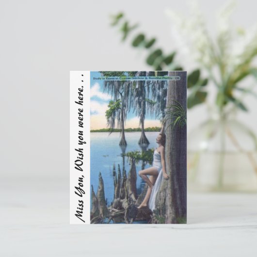 膝勉強 ポストカード (スタンド正面)