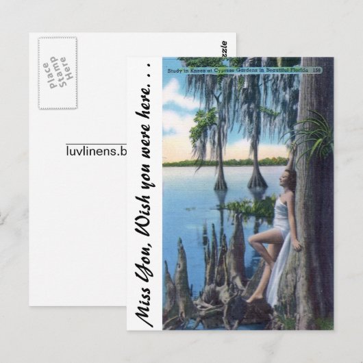 膝勉強 ポストカード (正面/裏面)