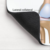 膝関節のマウスパッドの解剖学 マウスパッド (コーナー)