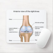 膝関節のマウスパッドの解剖学 マウスパッド (マウス)