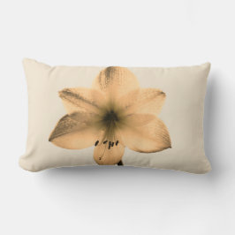 膝関節下痛 ランバークッション