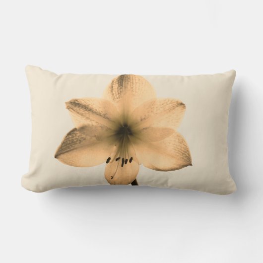 膝関節下痛 ランバークッション (正面)