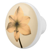 膝関節症 セラミックノブ (右)